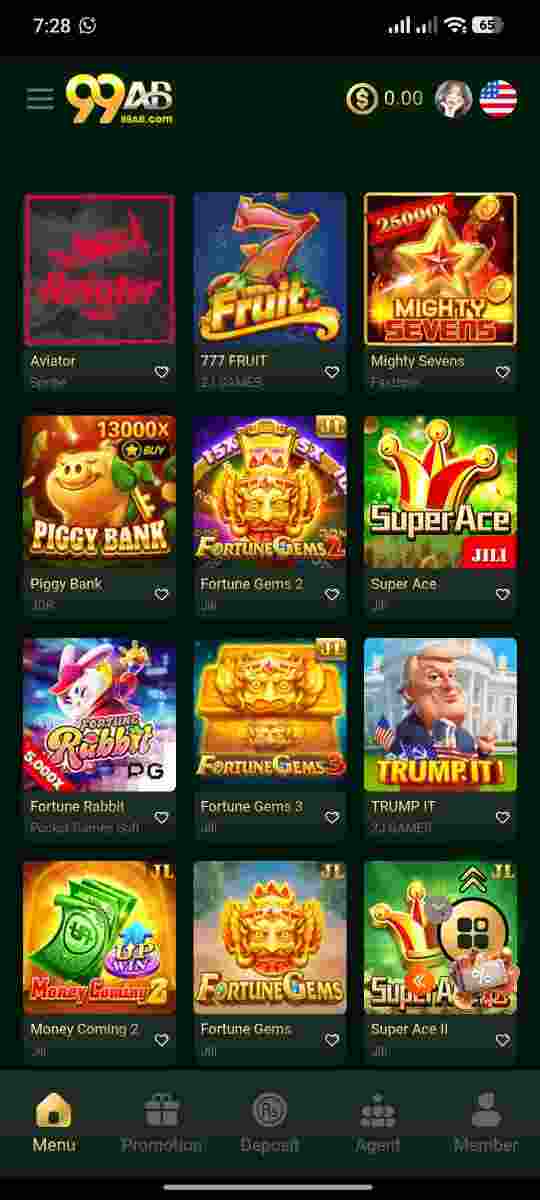 App Screenshot 1